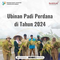 Ubinan Padi Perdana di tahun 2024