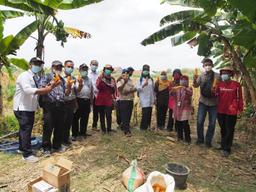 Supervisi Kegiatan Ubinan Jagung dan Konversi Jagung Subround 1 Tahun 2021 di Kecamatan Mranggen