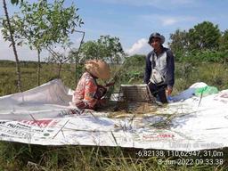 Ubinan Di Desa Weding Bonang