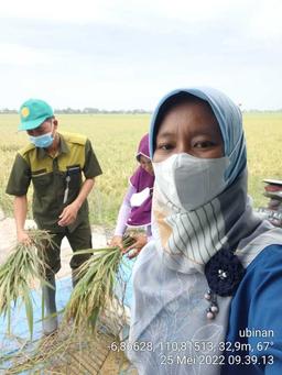 Ubinan Kecamatan Karanganyar